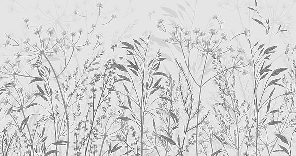 Delicate silhouettes of nature's beauty Delicate silhouettes of nature's beauty