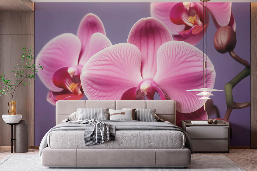 Delicate orchids in soft hues Delicate orchids in soft hues