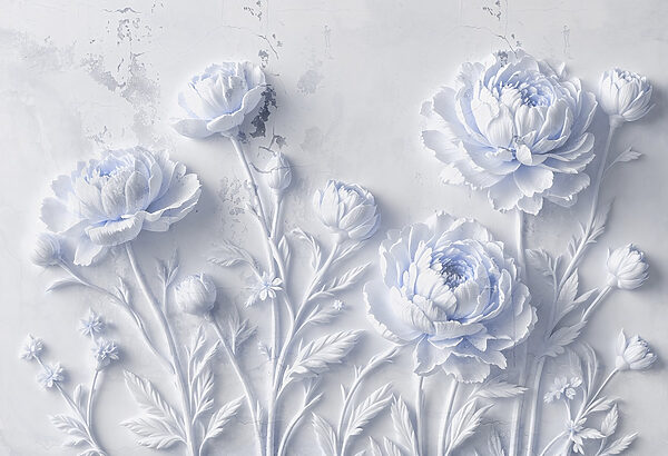 White flowers on a white surface White flowers on a white surface