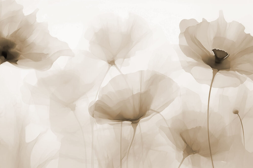 Group of flowers on a white background Group of flowers on a white background