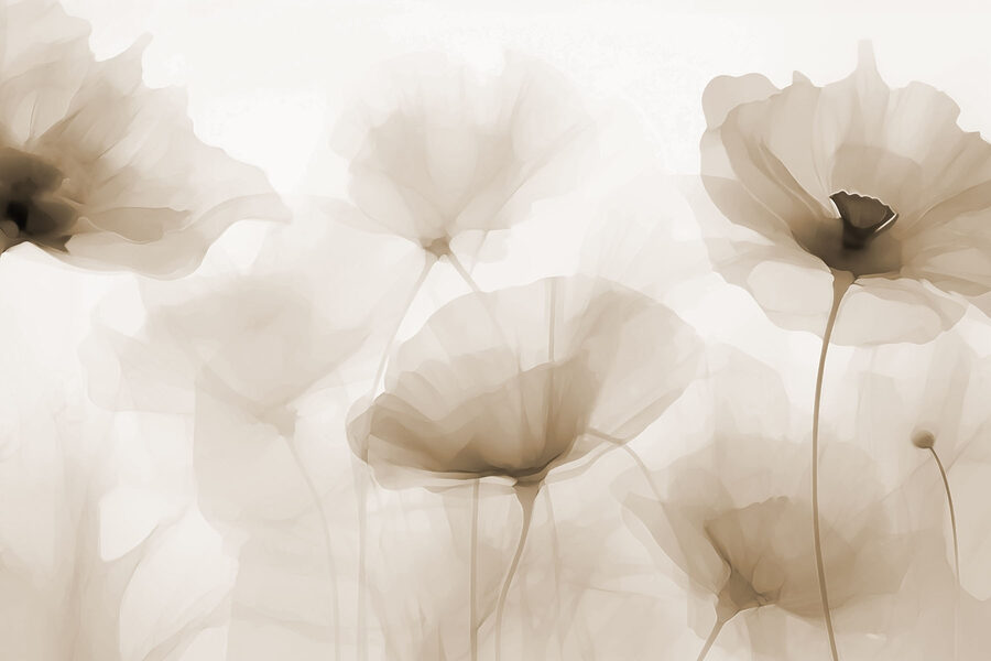 Group of flowers on a white background Group of flowers on a white background