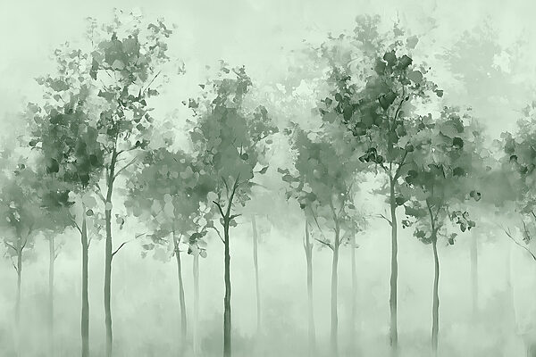 Group of trees in fog Group of trees in fog