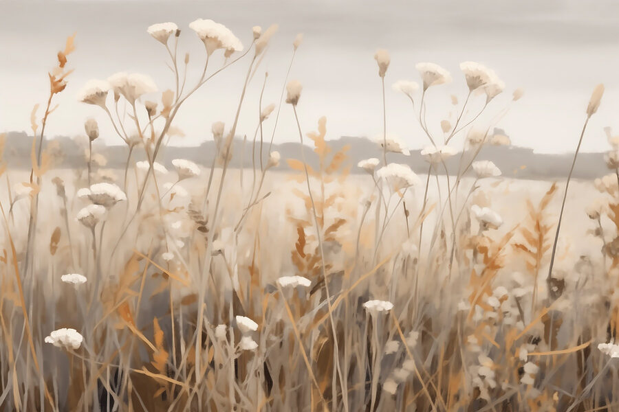 Field of flowers and grass