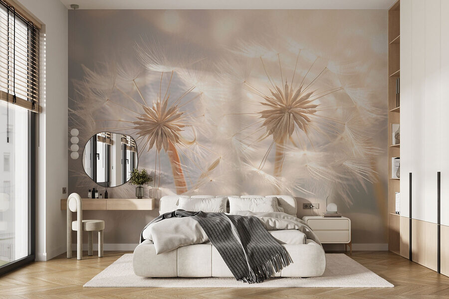 Delicate dandelion seeds in soft light Delicate dandelion seeds in soft light