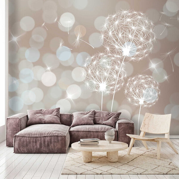 Delicate dandelions in soft backdrop. Delicate dandelions in soft backdrop.