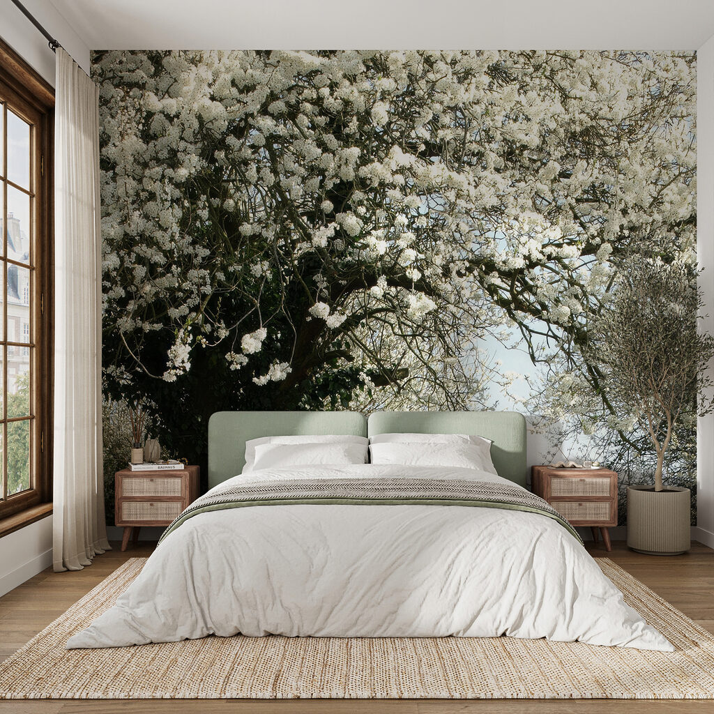 Dirt road with white flowers on it Dirt road with white flowers on it