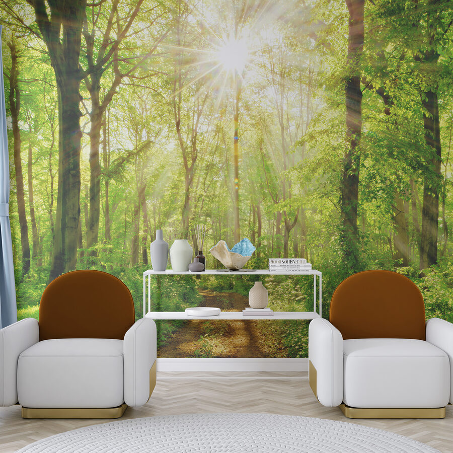 Wall murals Path through a forest with trees and plants - Image 6