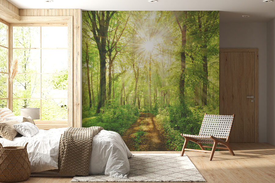 Wall murals Path through a forest with trees and plants - Image 7