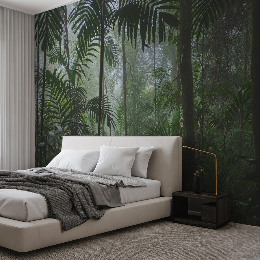 Dense forest with tall trees