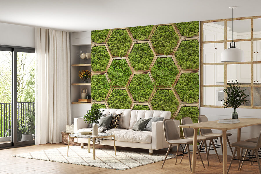 Wall of plants in hexagons Wall of plants in hexagons