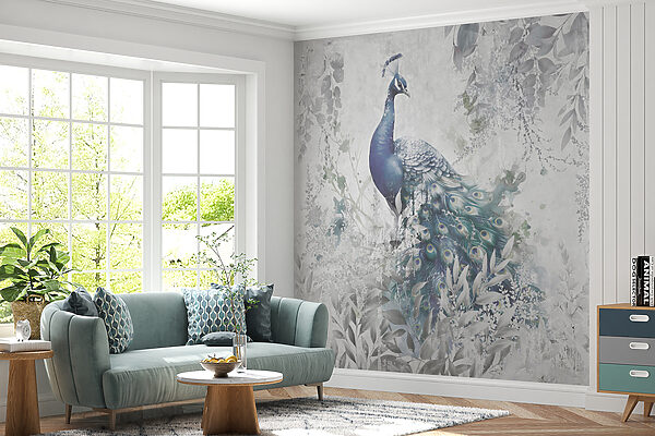 Peacock with feathers on a white background u96727pig20mr 600x400 - Peacock with feathers on a white background