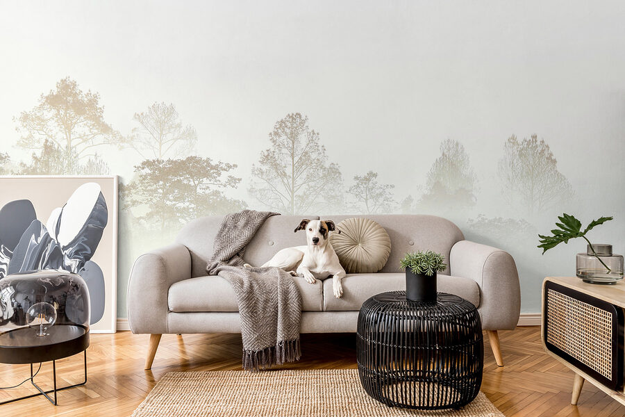 Trees in the fog