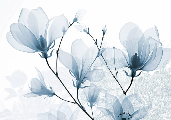 Delicate blooms in soft hues Delicate blooms in soft hues
