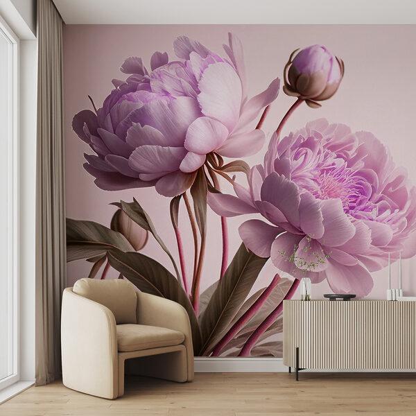 Elegant pink peonies in soft bloom. Elegant pink peonies in soft bloom.