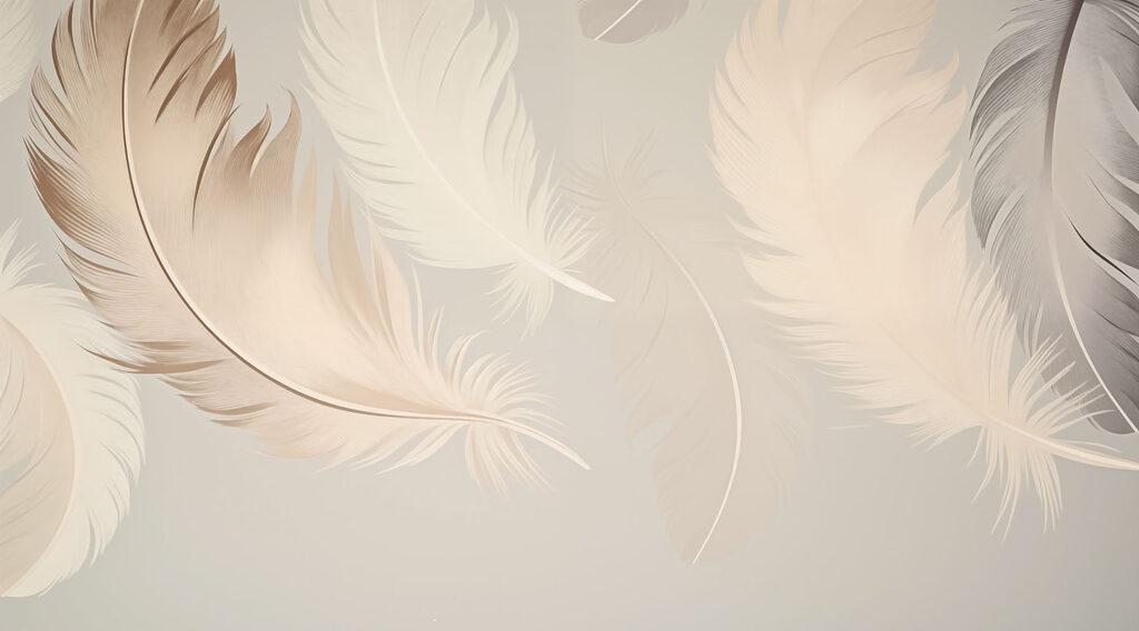 Group of feathers on a white background w03595p 1024x568 - Group of feathers on a white background