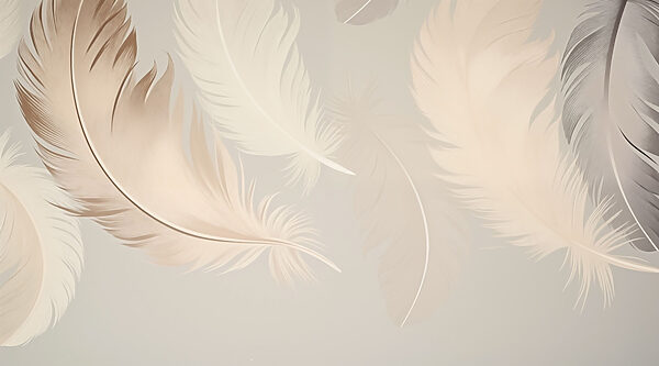 Group of feathers on a white background w03595p 600x333 - Group of feathers on a white background