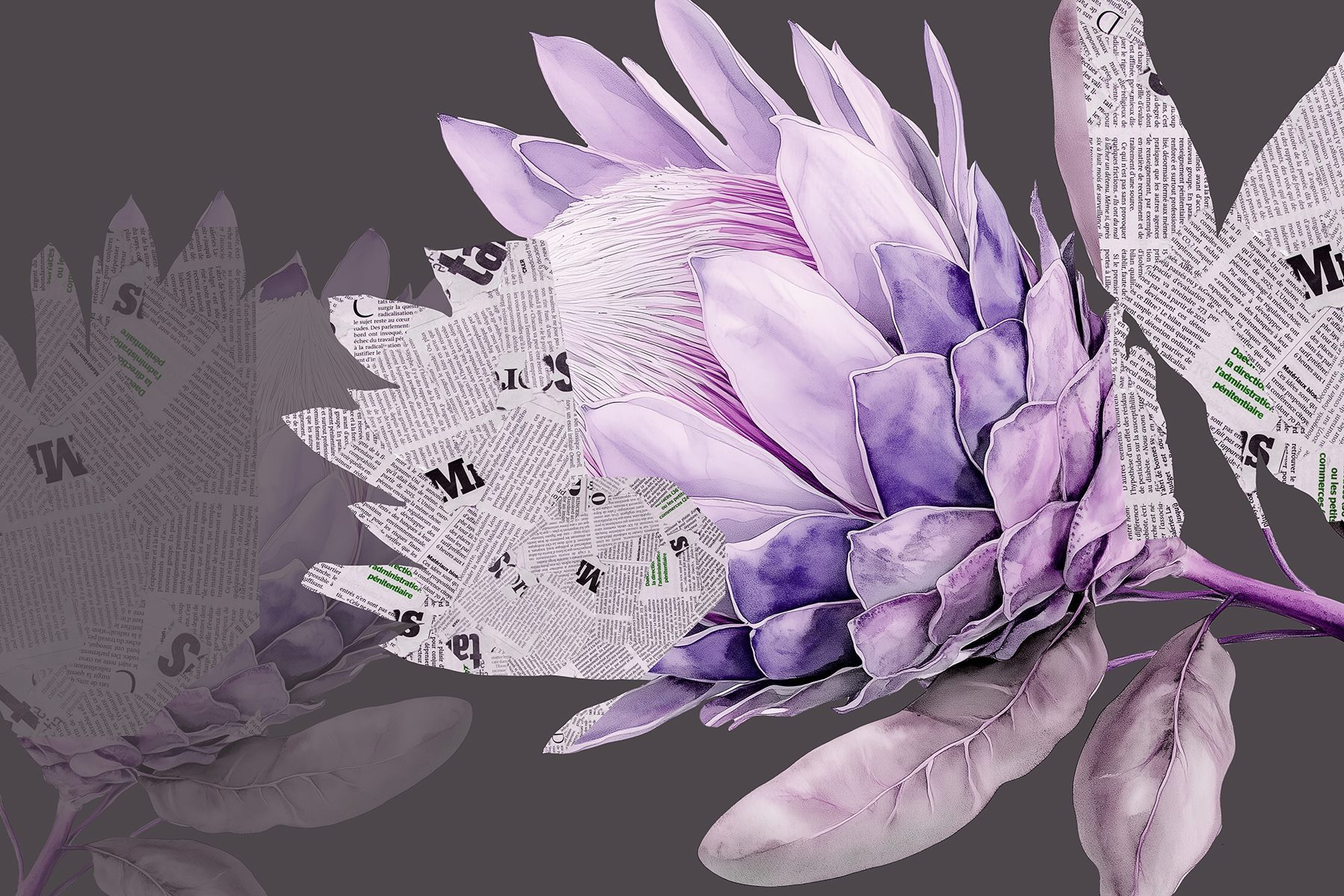 Purple flower with newspaper Purple flower with newspaper