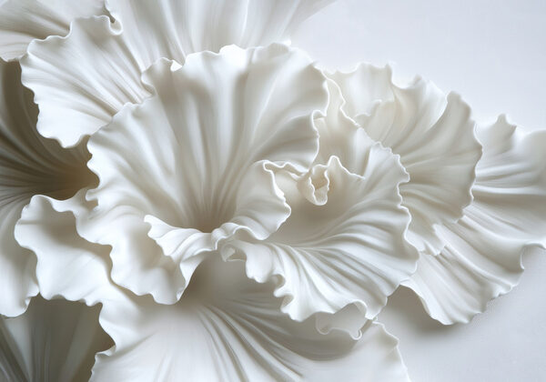 Delicate folds of textured elegance Delicate folds of textured elegance