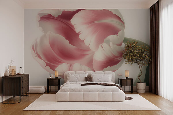 Delicate pink tulip in bloom w03638pib1r 600x400 - Delicate pink tulip in bloom