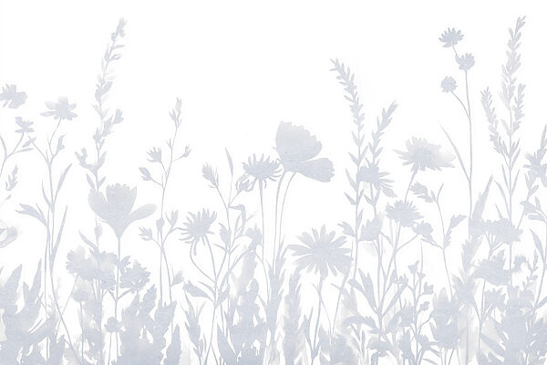 White flower silhouettes White flower silhouettes