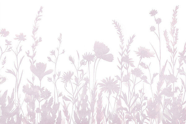 Soft silhouettes of delicate wildflowers Soft silhouettes of delicate wildflowers