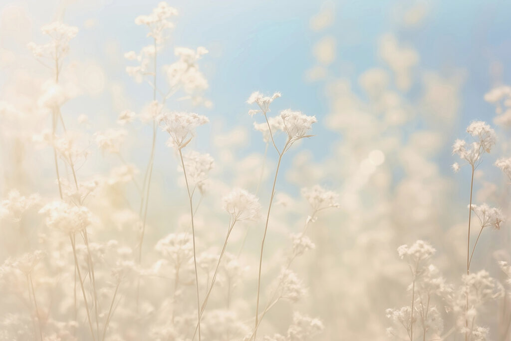 Dreamy flowers in soft sunlight Dreamy flowers in soft sunlight