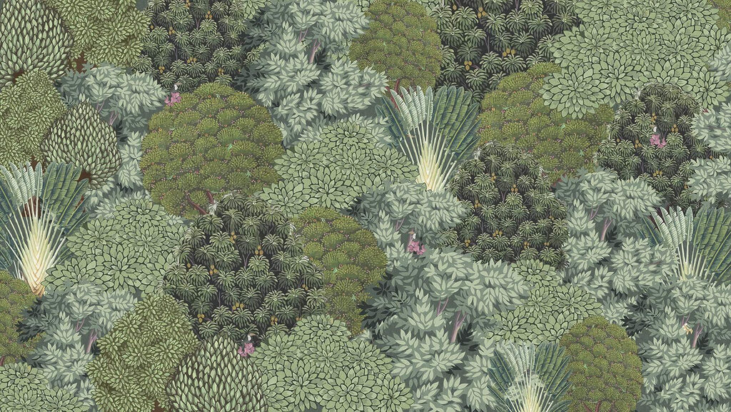 Large group of trees Large group of trees