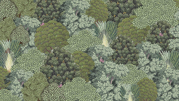 Large group of trees Large group of trees