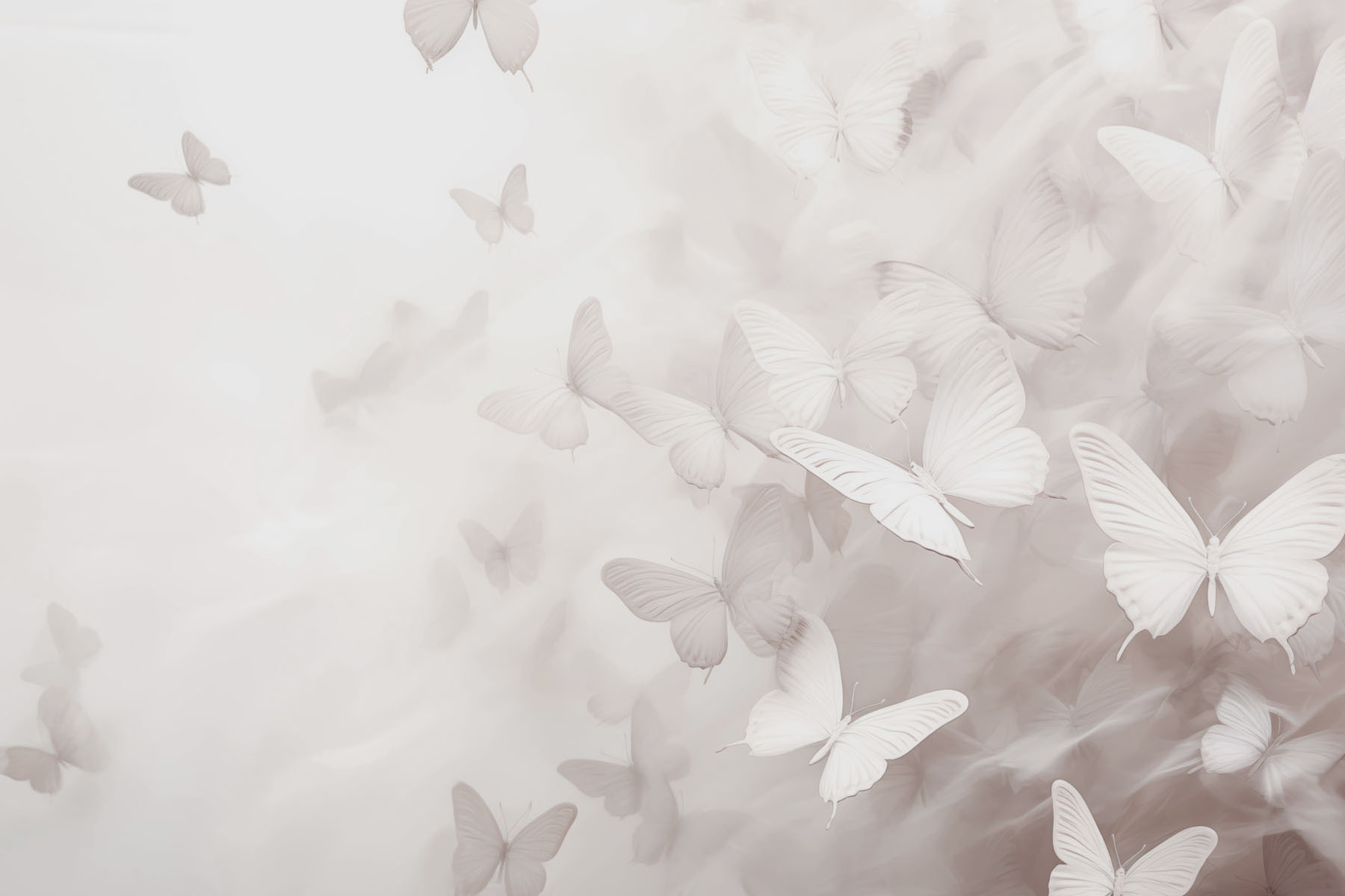 Group of butterflies flying Group of butterflies flying