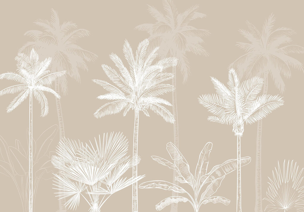 Group of palm trees Group of palm trees