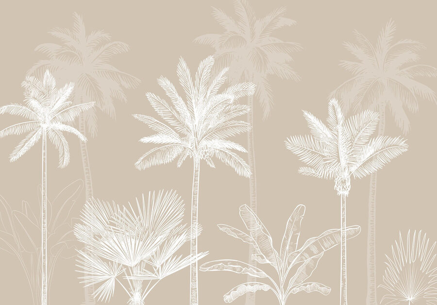 Group of palm trees Group of palm trees
