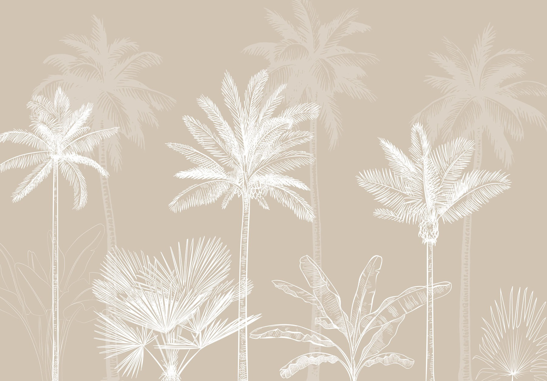 Group of palm trees Group of palm trees