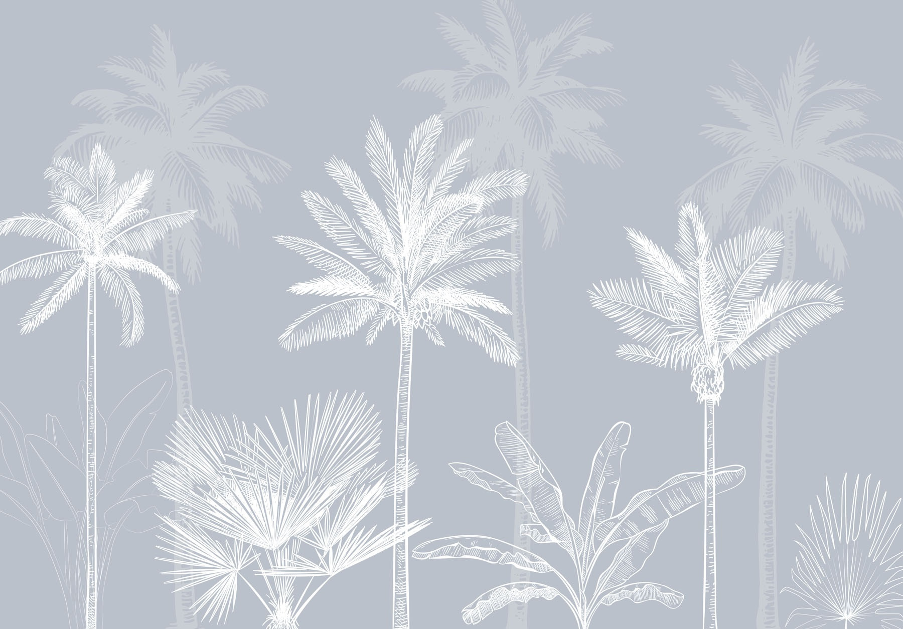 Group of palm trees Group of palm trees