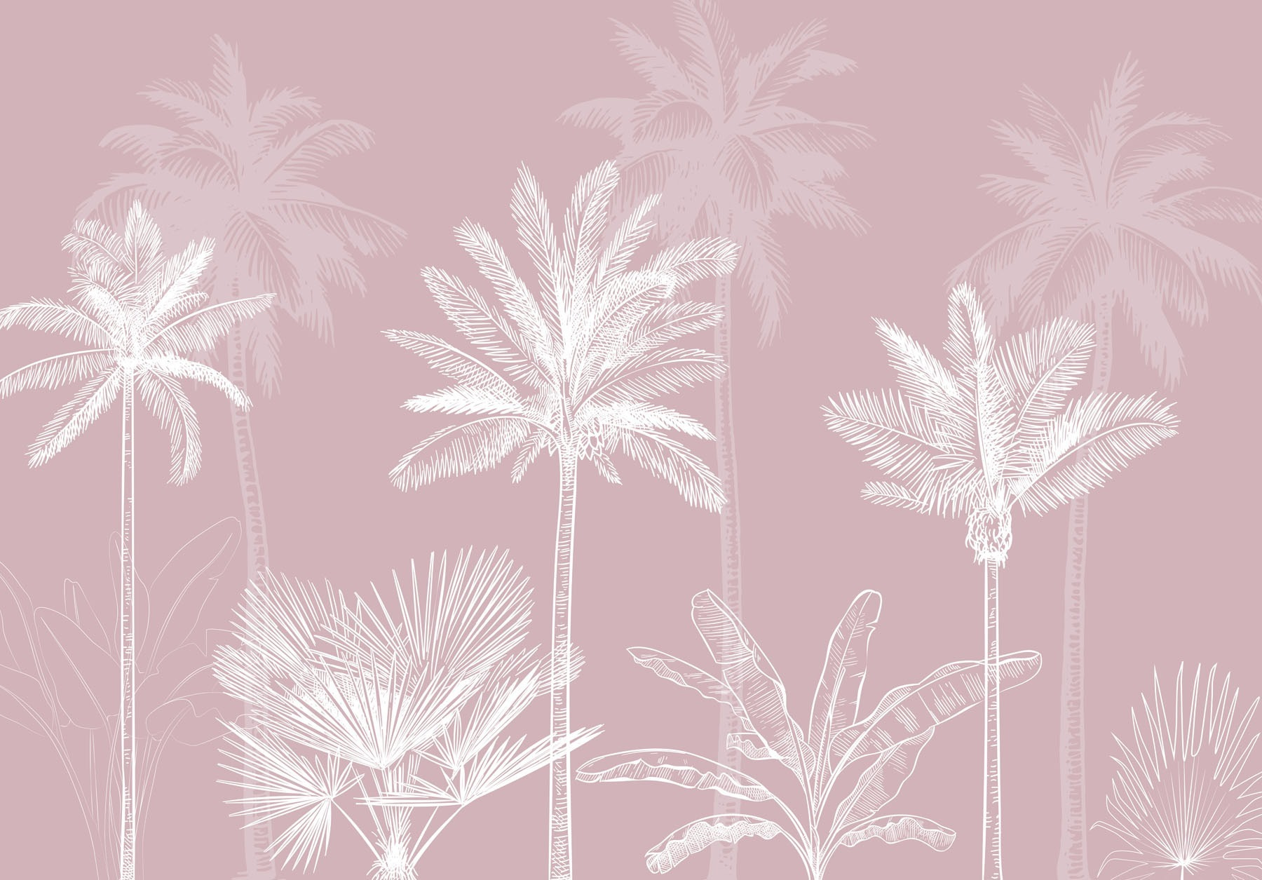 Group of palm trees Group of palm trees