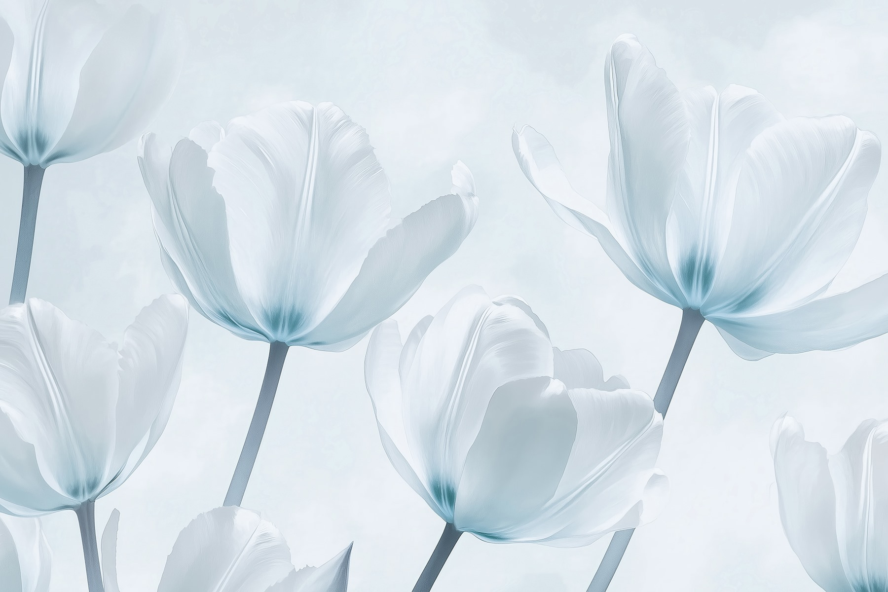 Group of white flowers