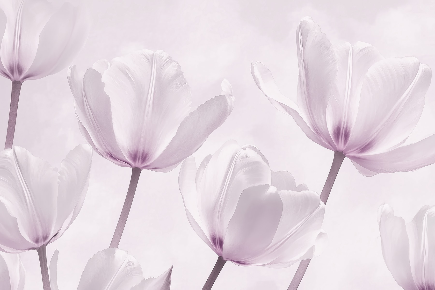 Group of white flowers