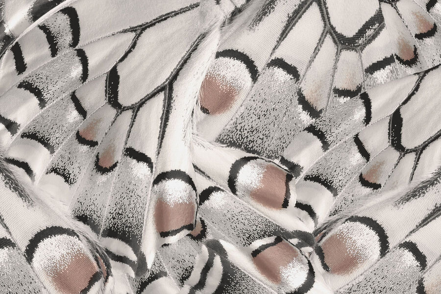 Intricate patterns in delicate fabric.