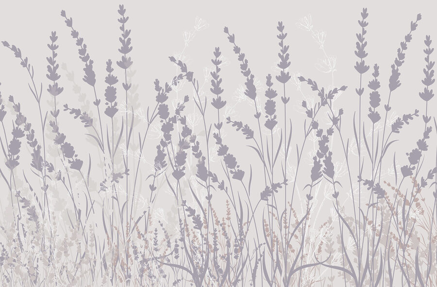 Delicate blooms in soft hues Delicate blooms in soft hues