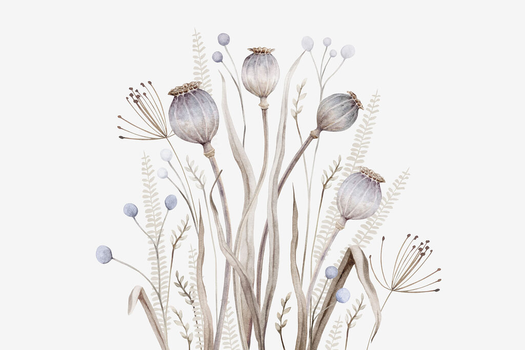 Watercolor painting of flowers and plants Watercolor painting of flowers and plants