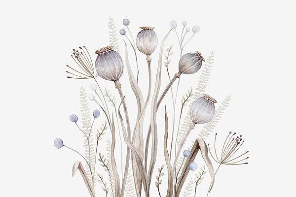 Watercolor painting of flowers and plants Watercolor painting of flowers and plants