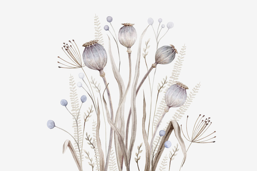 Watercolor painting of flowers and plants