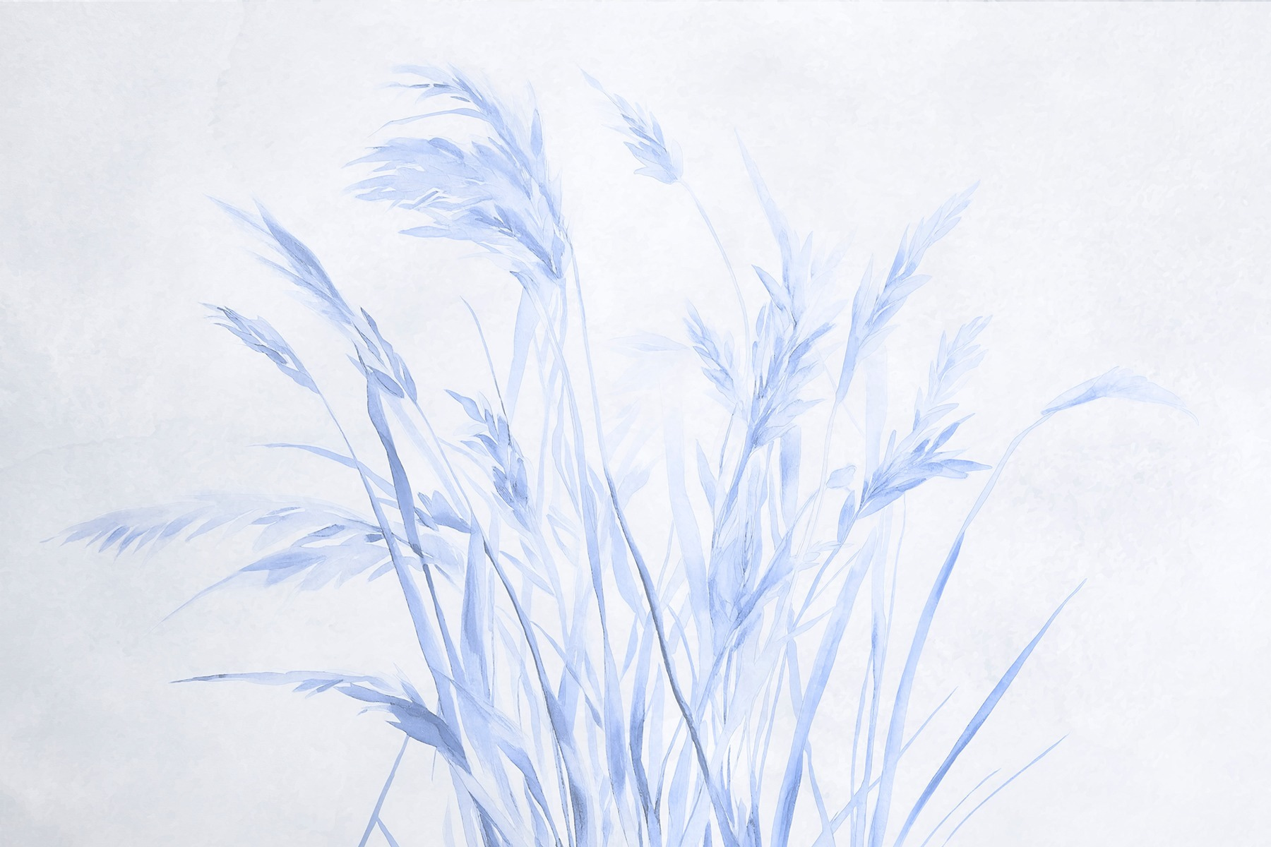 Delicate grasses in soft hues Delicate grasses in soft hues