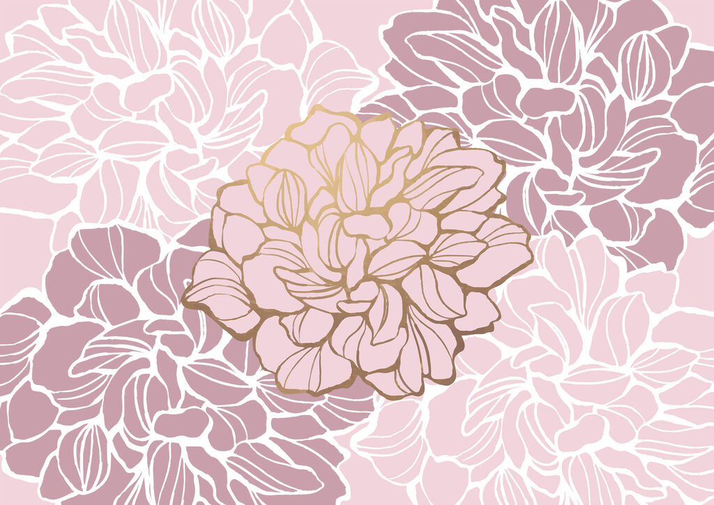 t00003v1p 1024x724 - Pink and white flower - tegory