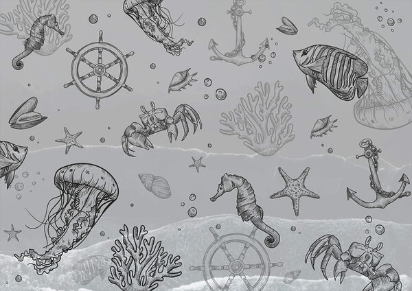 Grey background with sea creatures t00004p 600x424 - Grey background with sea creatures - tegory