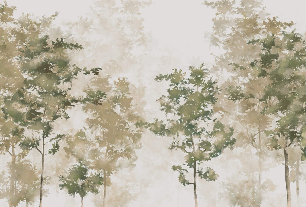 Group of trees with fog t00008p 1024x693 - Group of trees with fog - tegory