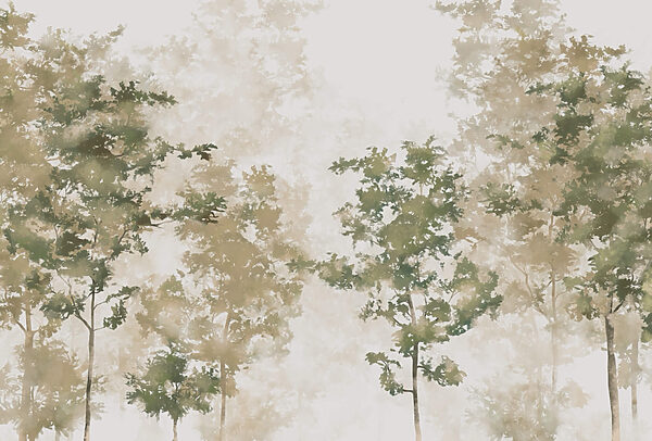 Group of trees with fog t00008p 600x406 - Group of trees with fog - tegory