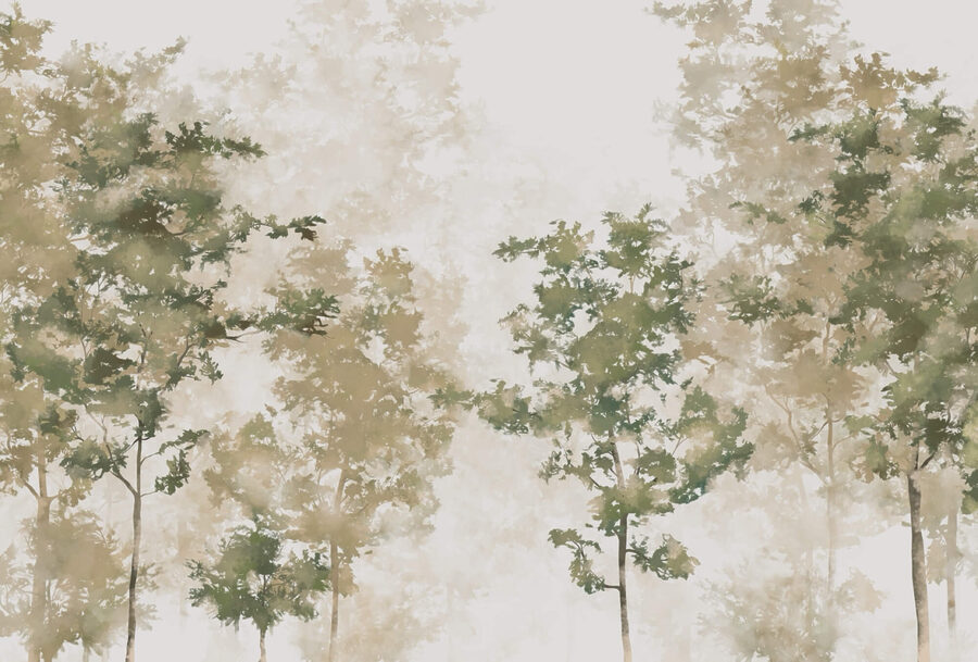 Group of trees with fog t00008p 900x609 - Group of trees with fog - tegory