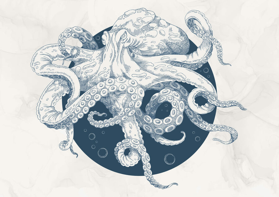 Wall murals Drawing of an octopus - Image 3