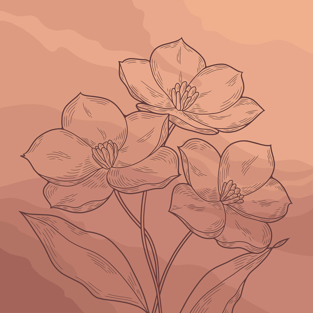 Drawing of flowers on a pink background t00042p 1024x1024 - Drawing of flowers on a pink background - tegory