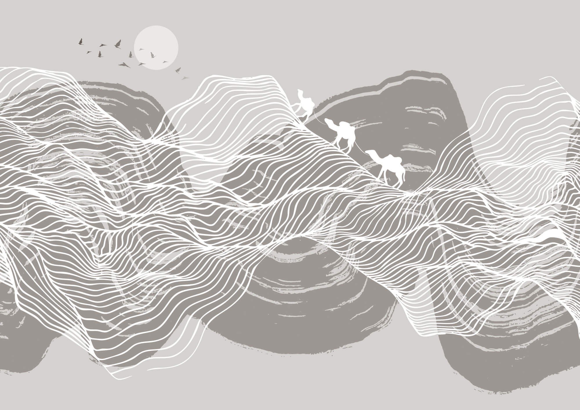 White lines on a gray background